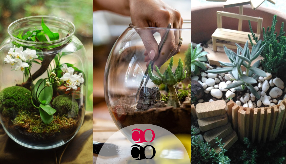 Corso di terrarium a Milano