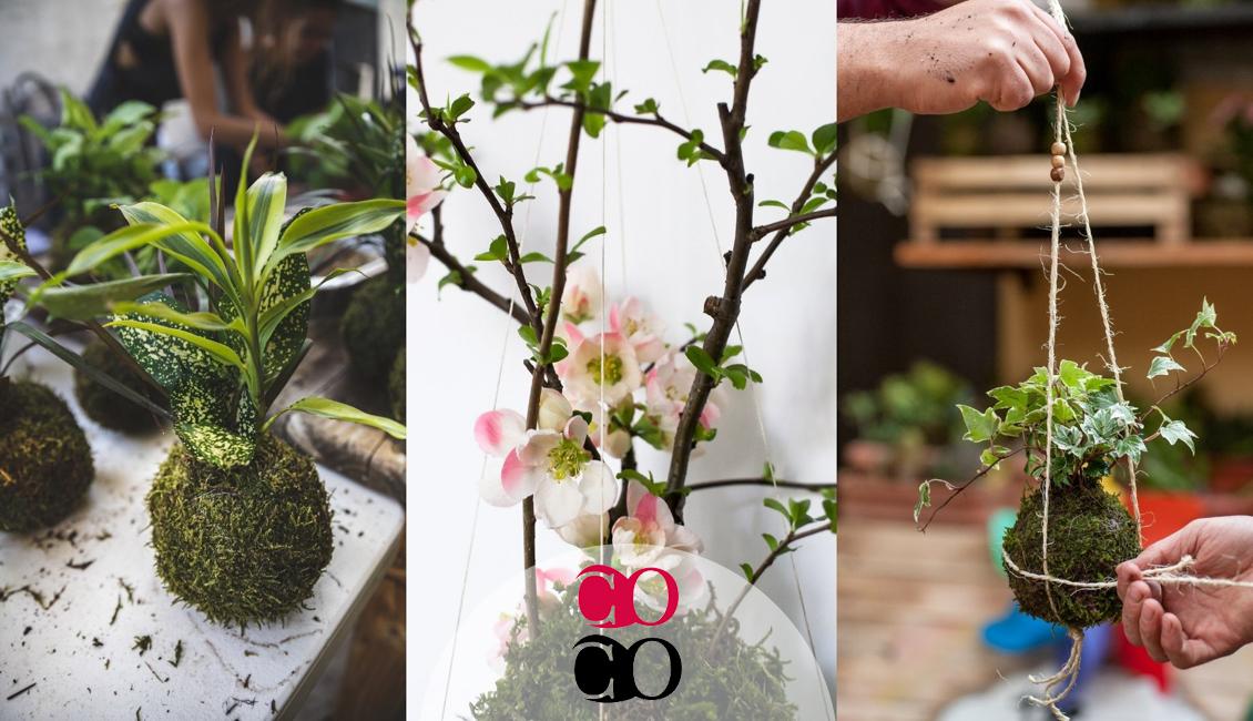 Corso di kokedama a Milano