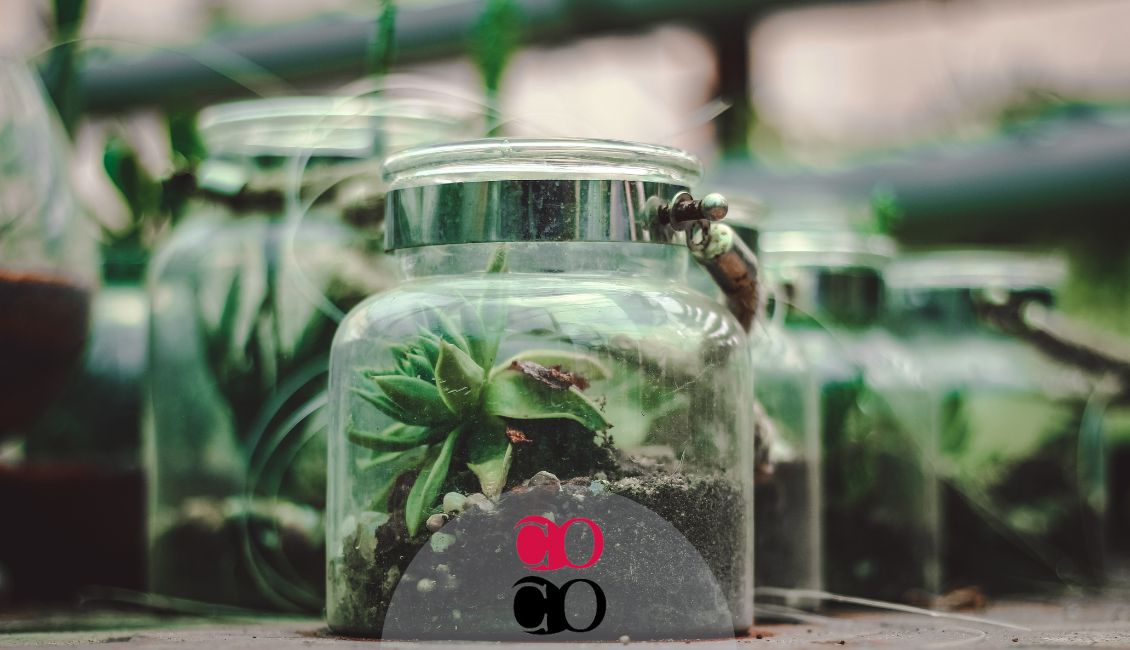Corso di Terrarium a Cusano Milanino