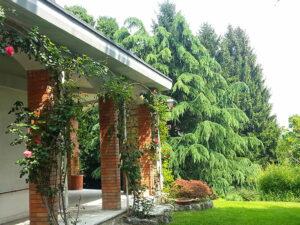 workshop di pittura en plein air 4
